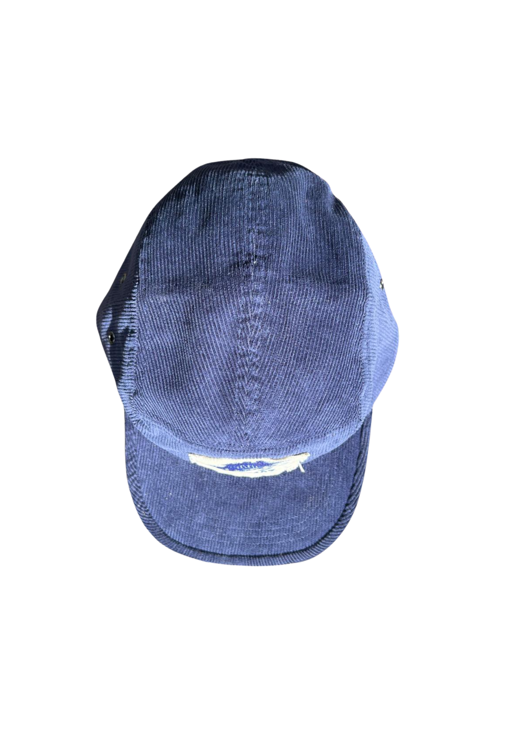 Fly Cap